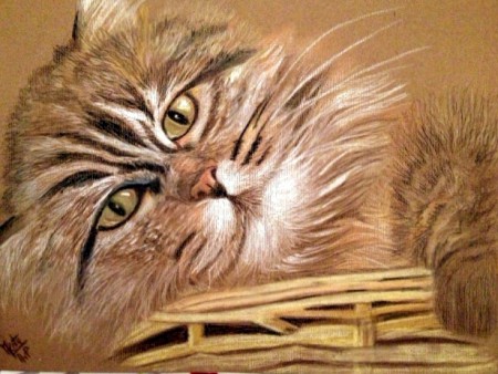 Chat dans son panier 30 x 40 cm